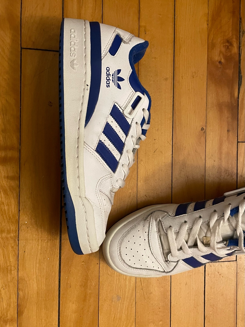 Adidas White And Royal Blue Low-Top Sneakers